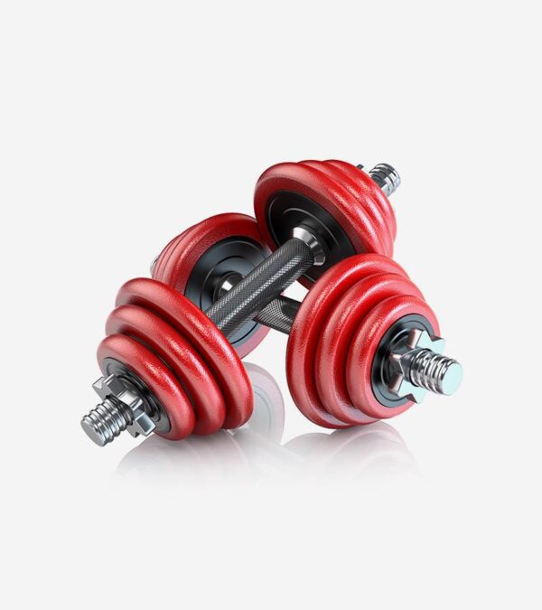 A Pair Of Dumbbells