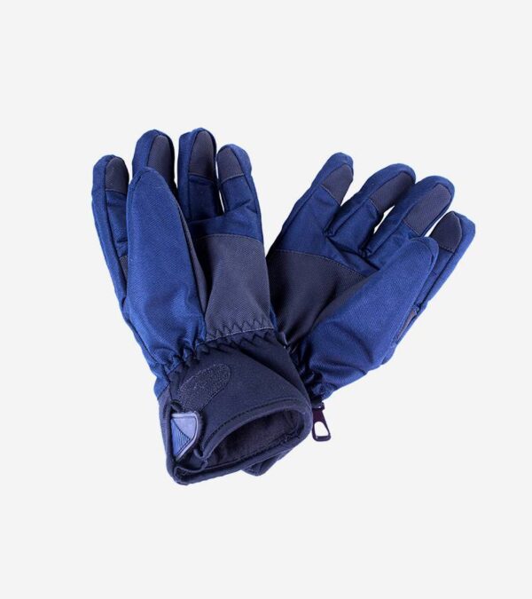 Winter Glove